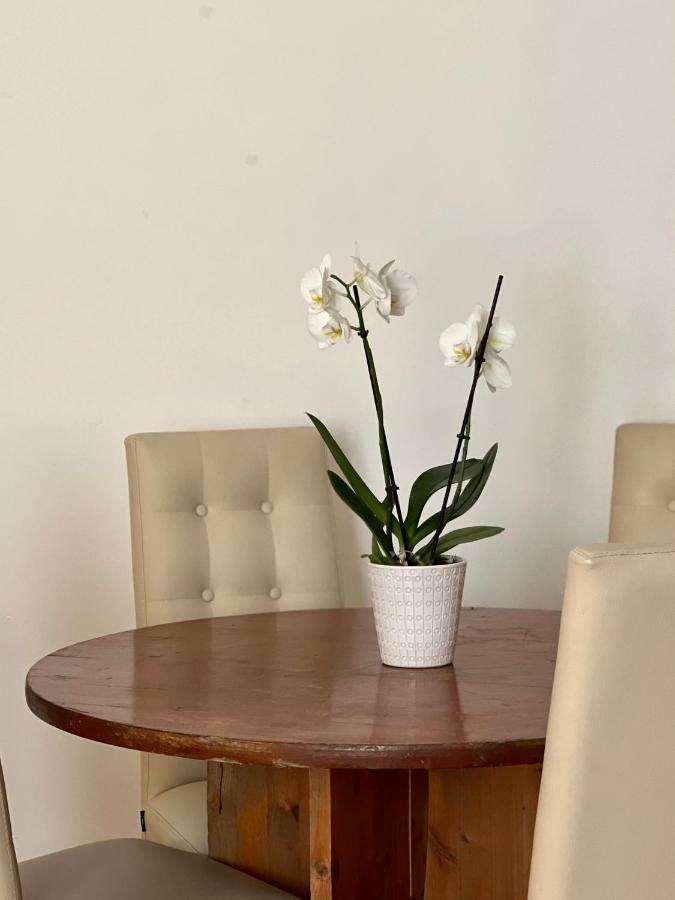 Novi Ligure Private Apartment Ngoại thất bức ảnh
